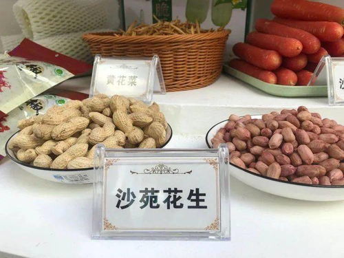 我縣組團參展農高會 特色果品與創新電子產品雙星閃耀，吸引八方客商