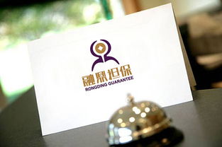 活在設(shè)計(jì)品牌策劃及咨詢(xún) 為 融鼎擔(dān)保公司 設(shè)計(jì)的品牌形象識(shí)別