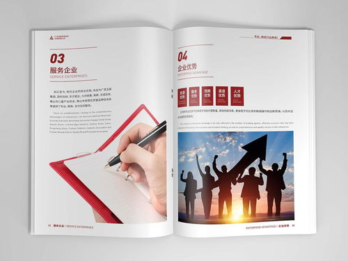 咨詢公司畫冊(cè)設(shè)計(jì)