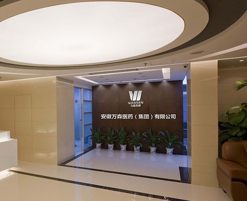 地產(chǎn)品牌策劃 滁州品牌策劃 多年經(jīng)驗(yàn) 安徽國(guó)禎