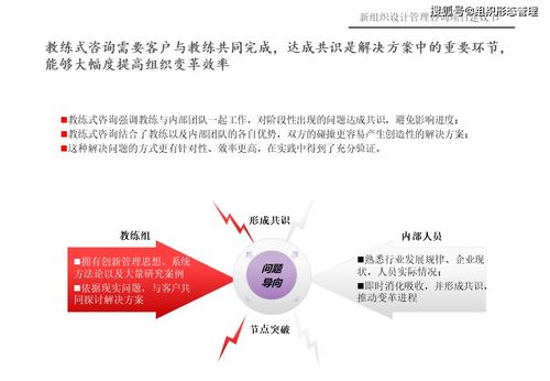 新組織設(shè)計(jì)管理咨詢項(xiàng)目建議書