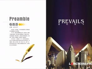 圖 電力公司宣傳畫冊(cè)設(shè)計(jì) 電力設(shè)計(jì)咨詢工程開發(fā)公司設(shè)計(jì)研究院品牌 成都設(shè)計(jì)策劃