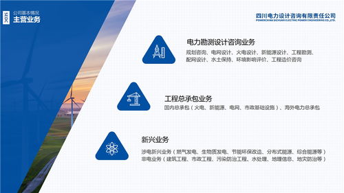 北京產(chǎn)權(quán)交易所 四川電力設(shè)計咨詢有限責(zé)任公司 混合所有制改革項目推介