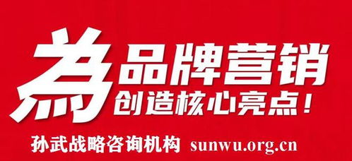 品牌智勝之道 當(dāng)專業(yè)策劃攜手孫武戰(zhàn)略，以500強(qiáng)定位案例鑄就市場(chǎng)輝煌